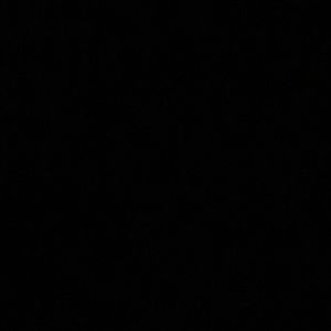 Meet your Posher, Kendall